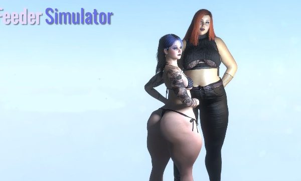 Feeder Simulator
